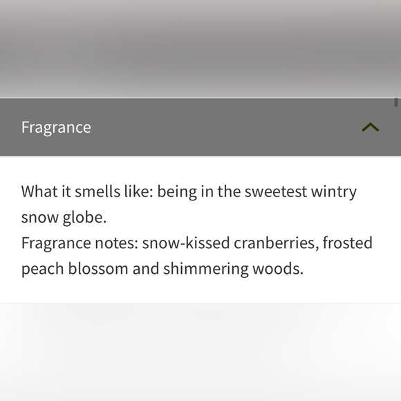 Bath & Body Works Pink Sparkling Spritz & Snowy Peach Berry Hand Sanitizer Gel - Picture 6 of 6